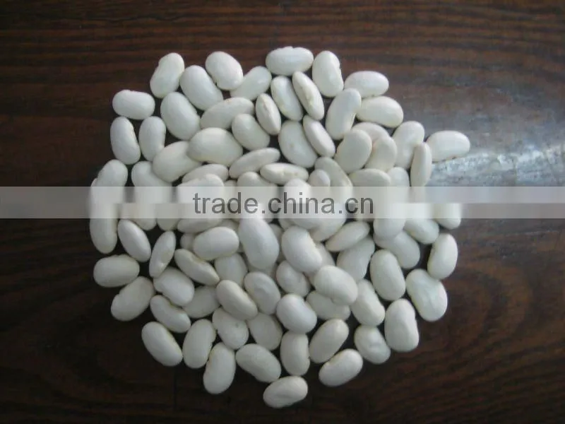 New crop white beans
