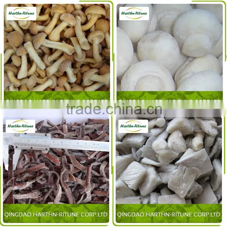 Frozen Shiitake Mushroom IQF Shiitake mushrooms
