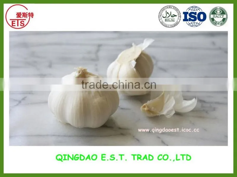 Garlic spices from jinxiang with own brand