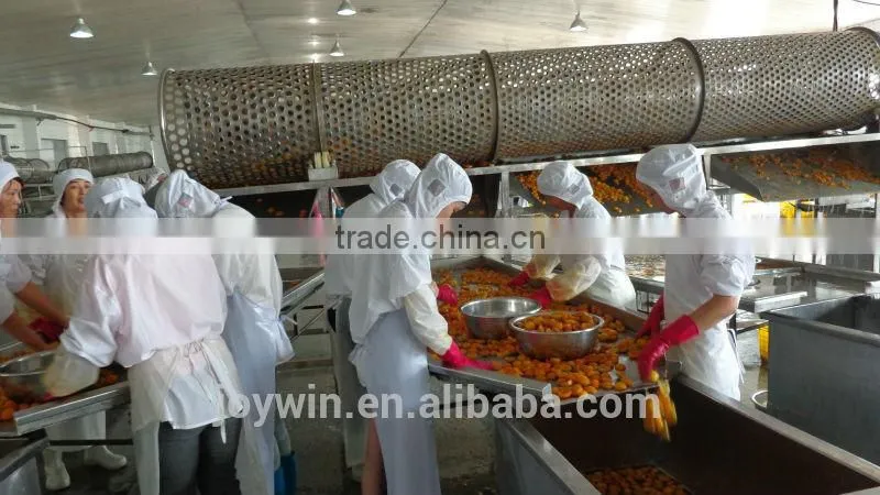 Canned fresh apricots in syrup manufacturer