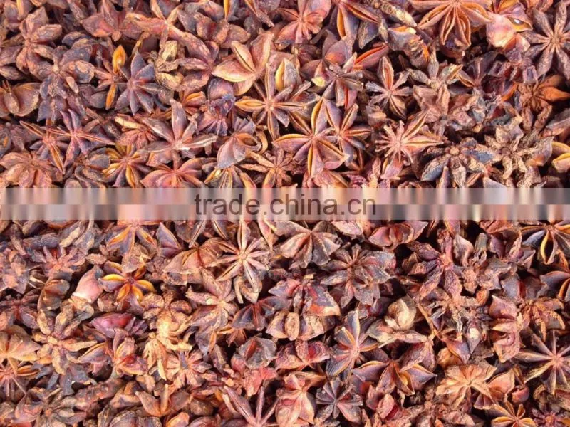 HIGH QUALITY AUTUMN STAR ANISSED