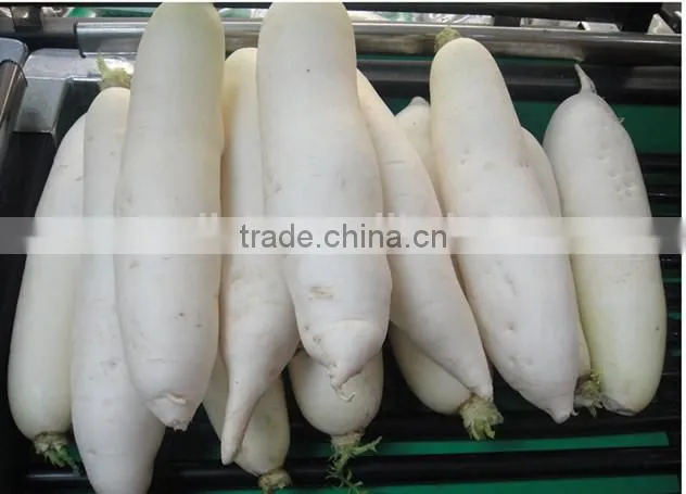 cassava peeler and slicer /cassava peeling machine