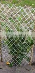 HDPE anti UV plastic Protection net for tree(factory)