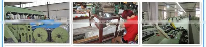 Paper Making Polyester Plain Weave Wire Mesh fabric