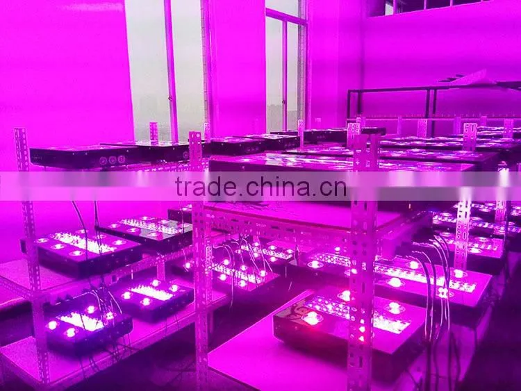 LED Grow Lights Indoor Grow Lights Plasma Grow Lights