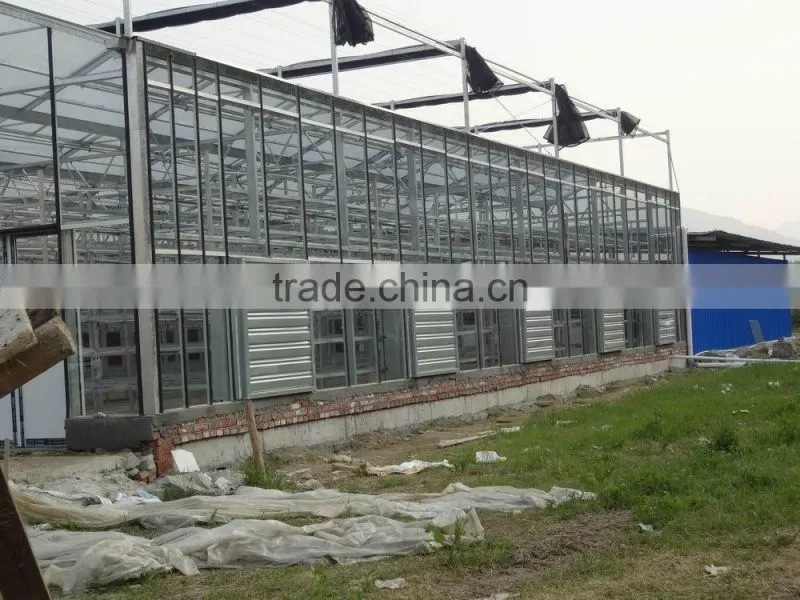 Sunlight greenhouse ecological steel structure