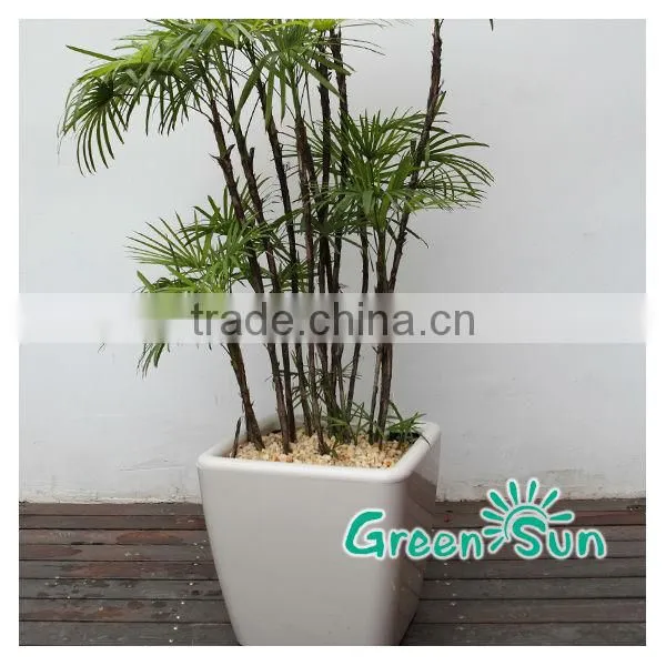 plastic flower pots,flower pot,self-watering planter,nursery Pots,Sub-irrigation system planter pot,Desktop planter
