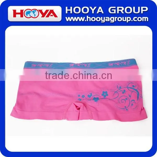 Seamless Panties Sexy Lady Sexy Nylon Panties
