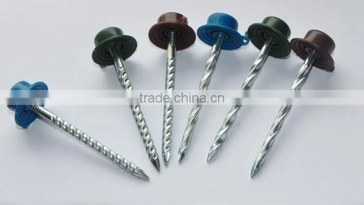 top quality galvanized twisted shank roofing nail screw nail with plastic cap