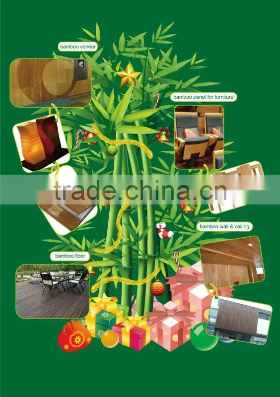 20mm Dark Chocolate color matt Finish outdoor strand woven bamboo floor products hot sale 2013