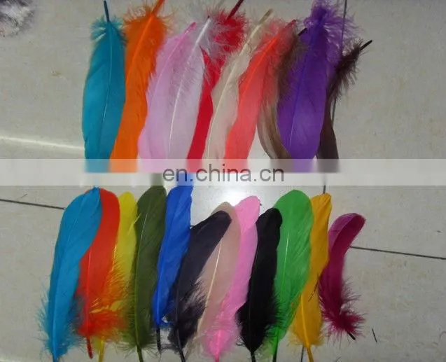 pheasant colorful feather, chicken feather