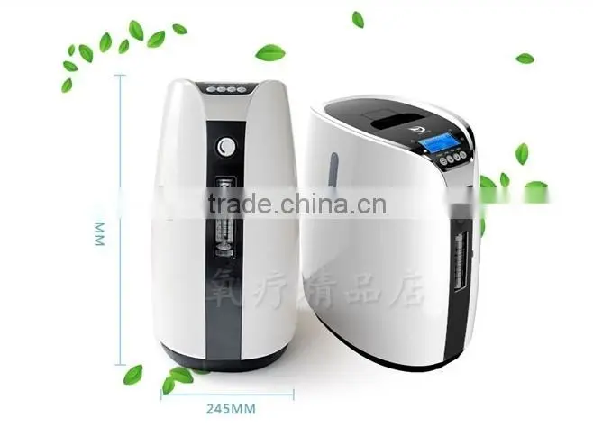 oxygen generator 2L