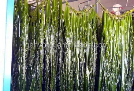 Seaweed Washing Machine/Industrial Washing Drying Machine/seaweed Nitrate Packaging Machine