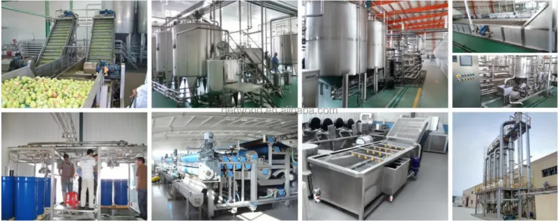 Full Automatic Fresh Fruit Juice Filling Production Line Drink Processing Line Beverage Juice Filling Machine