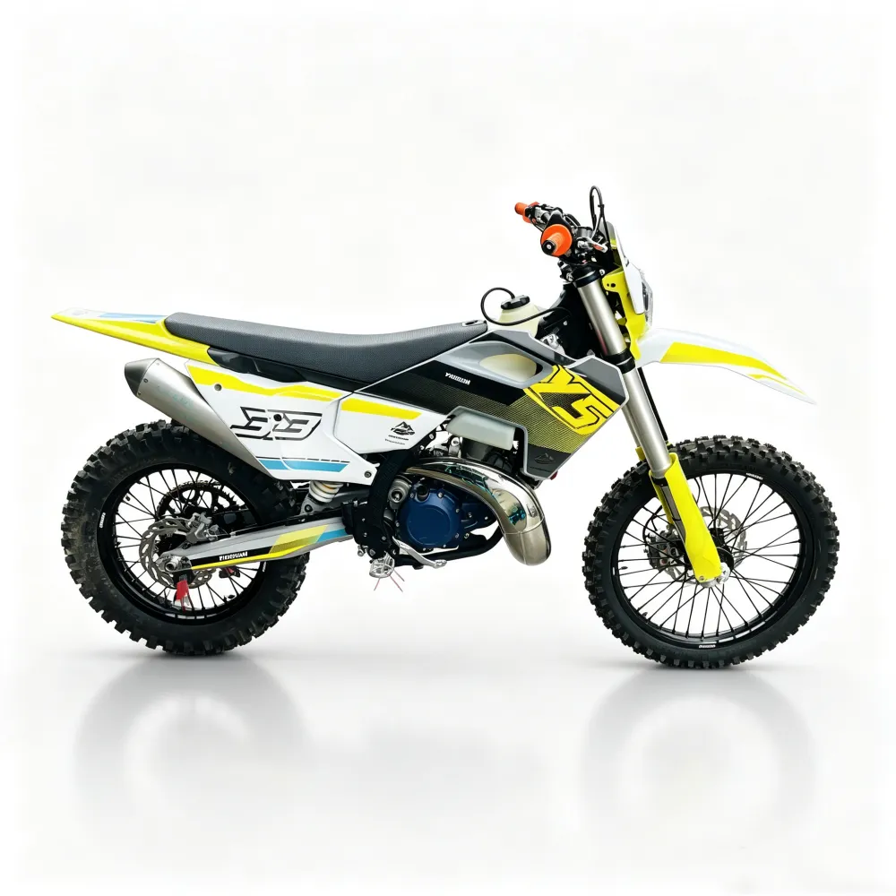 wang-dirt bike (3)