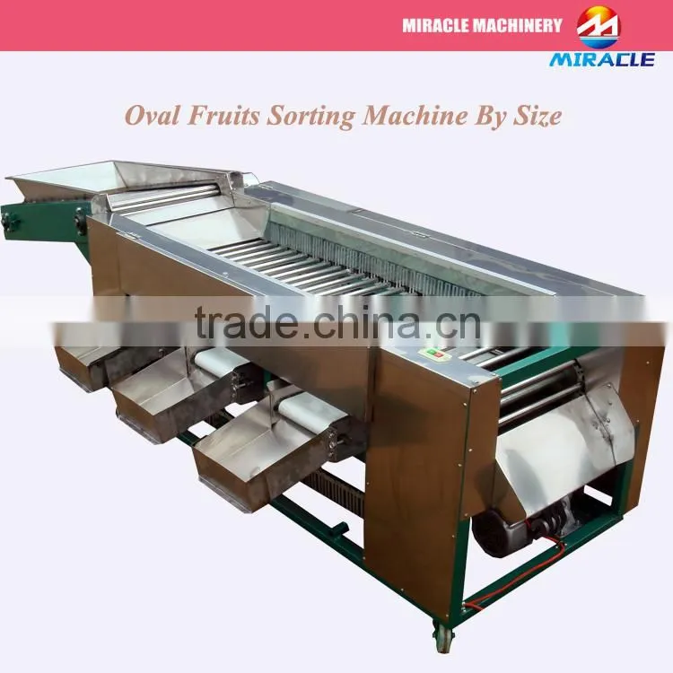 Cherry tomato Sorting machine/Tomato grading machine/Potato sorter machines