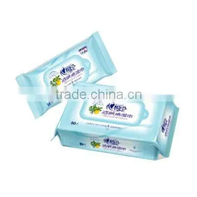 Wet Napkins Auto Packing Machine