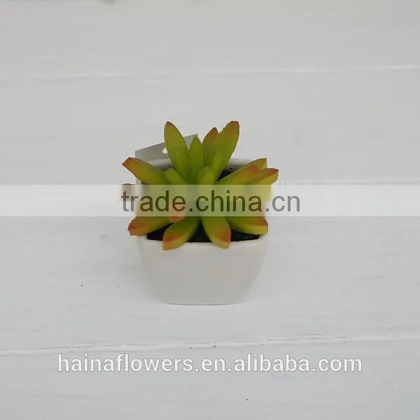 Mini Potted artificial plants succulent plants for indoor decoration