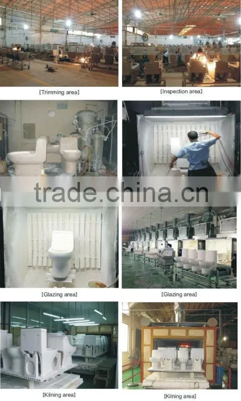 Dual flush 250mm ceramic toilet TB309-1