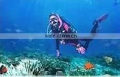 2014 new fashion 1.5 inchTFT LCD WIFI HD sj4000 waterproof sport camera