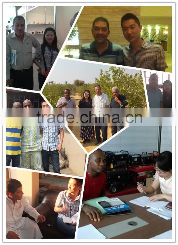 4.0hp 154 gasoline engine farm use petrol engine