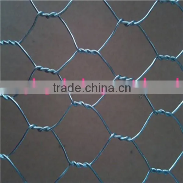 galvanized hexagonal gabion wire mesh/gabion protective mesh/gabion mesh roll