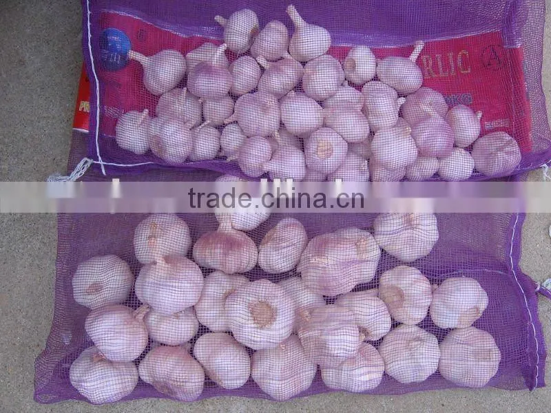 pure white garlic