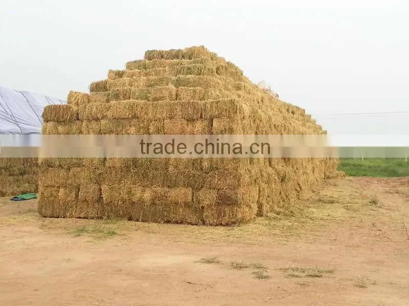 made in china scrap metal baler with factory price