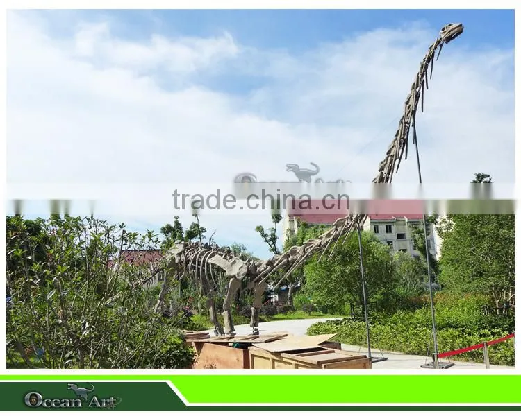 large lifelike dinosaur skeleton dinosaur fossil sale
