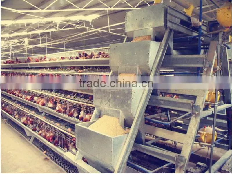 Hot sale!!!High quality industrial metal steel frame laying hen egg chicken house