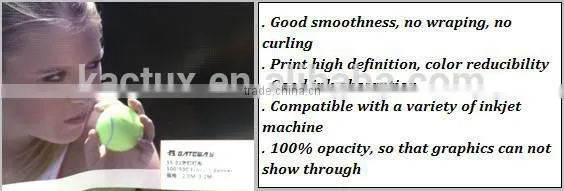 340g Glossy Frontlit PVC Flex Banner