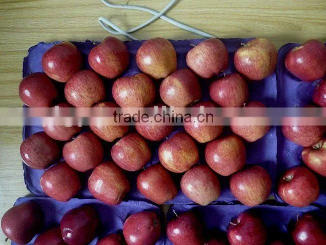 washington red apples 2015