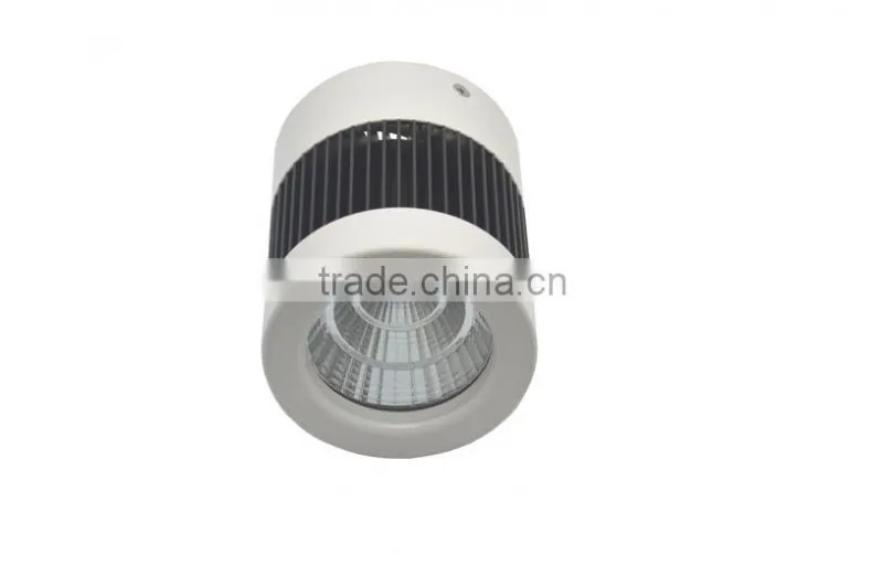 Surface Mounted Pure Aluminum COB Led Downlight 20w TEC002CD20WSM1