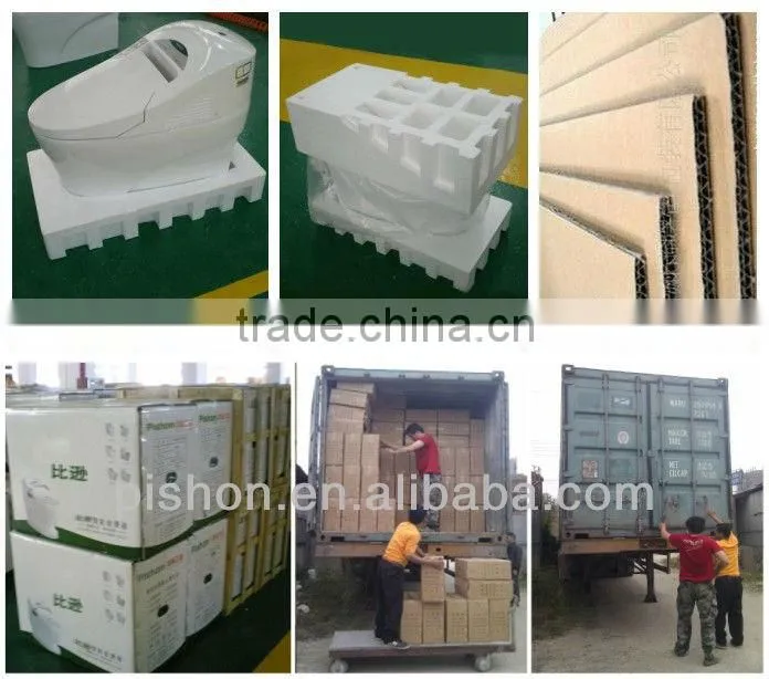 Siphon Automatic Toilet