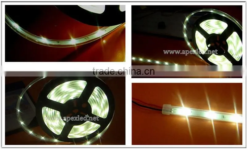 ip33 30-LEDs smd 3528 led strip tape light