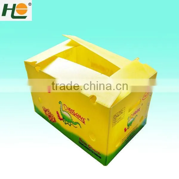 Recycled pp anti-static Industry Packaging Box