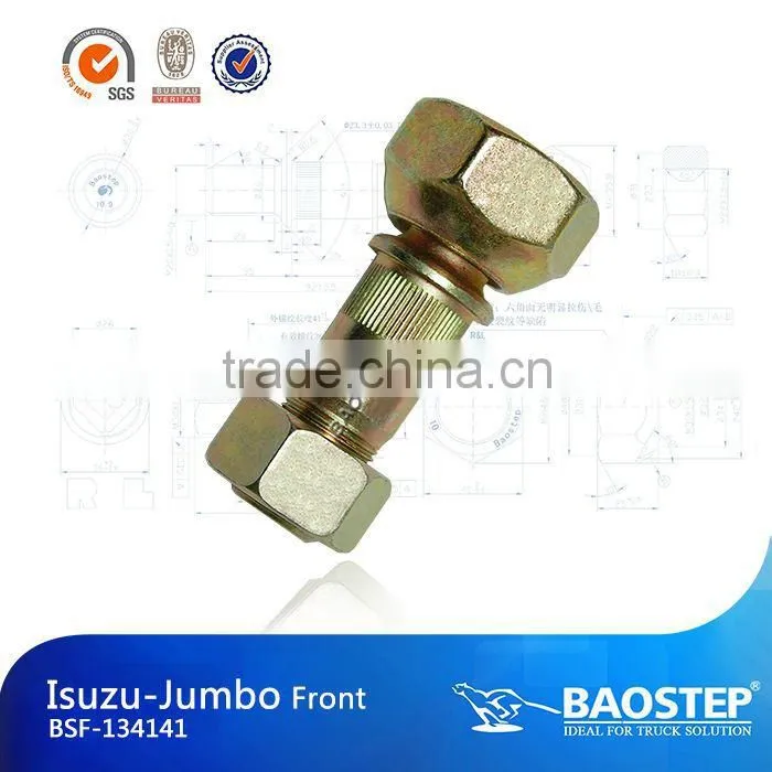 BAOSTEP Simple Style Manufacturer Galvanized Nut & Bolts For Isuzu
