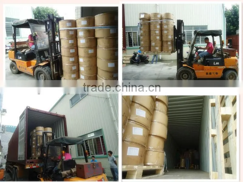 baby diaper back sheet casting film