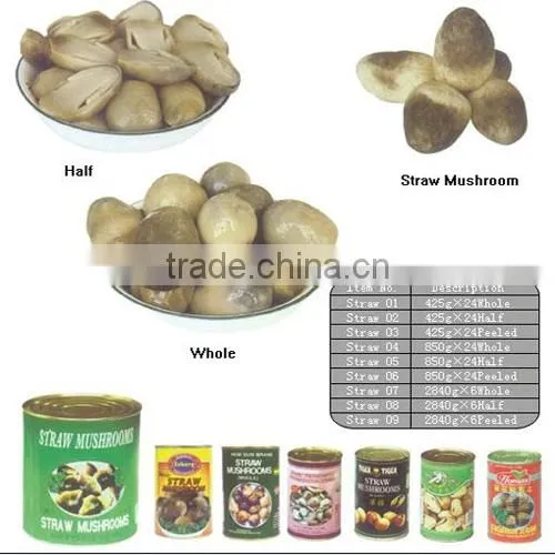 Healthy high quality Canned Straw Mushroom with factory price