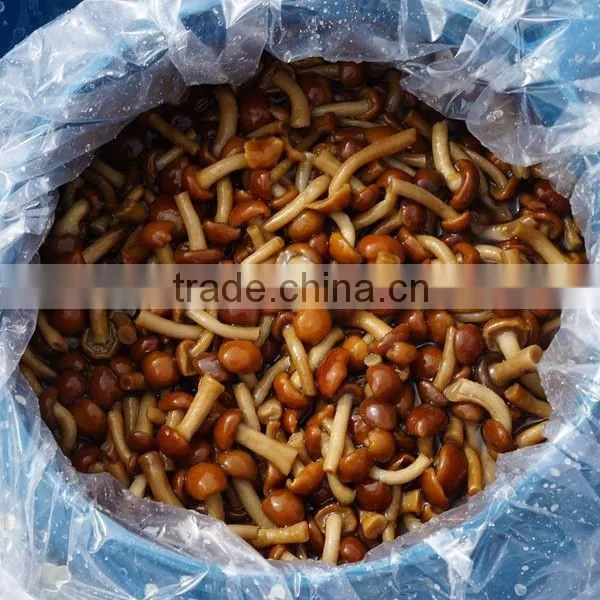 Chinese cultivated honey mushroom