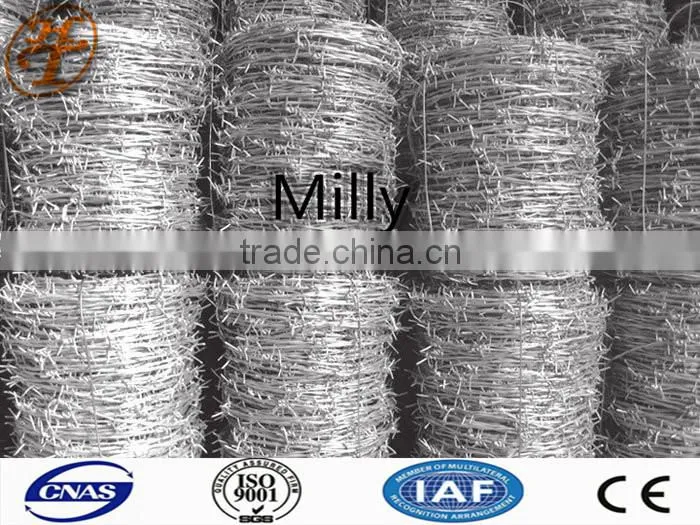 l galvanzied barbed wire BWG 12#x14# 14#x16# 1.6 mm 2.1mm 2.5mm electric / hot dipped barb wire direct professional manufacture