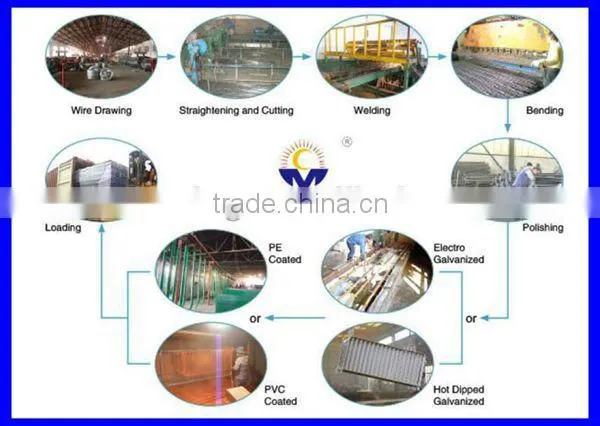 DM ISO certificated welded wire mesh panel from direct factory