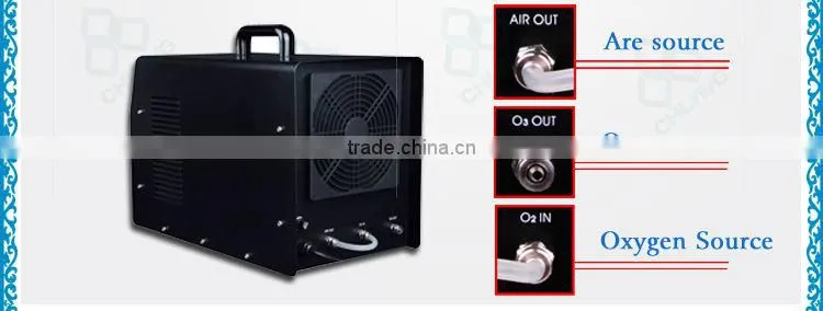 Direct manufactural 3g ceramic ozone sterilizer