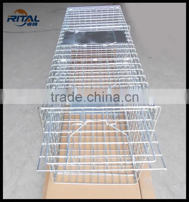 Live Trap Cage,Fox Trap Cage,Animal Trap cage,mouse trap cage