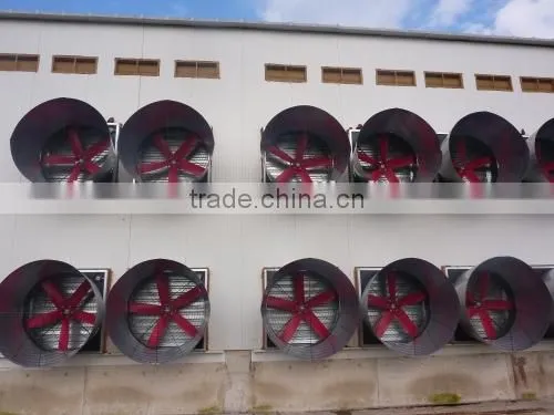 Poultry fan/broiler breeder house fan/chicken fan/egg fan/cone fan/chicken farm