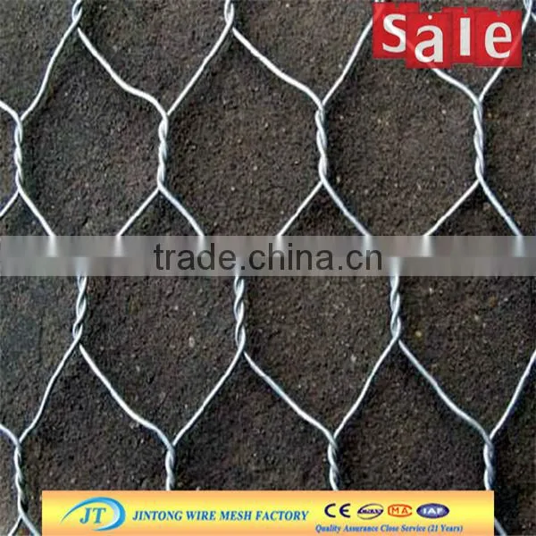 anping Jintong factory roll galvanized chicken wire mesh