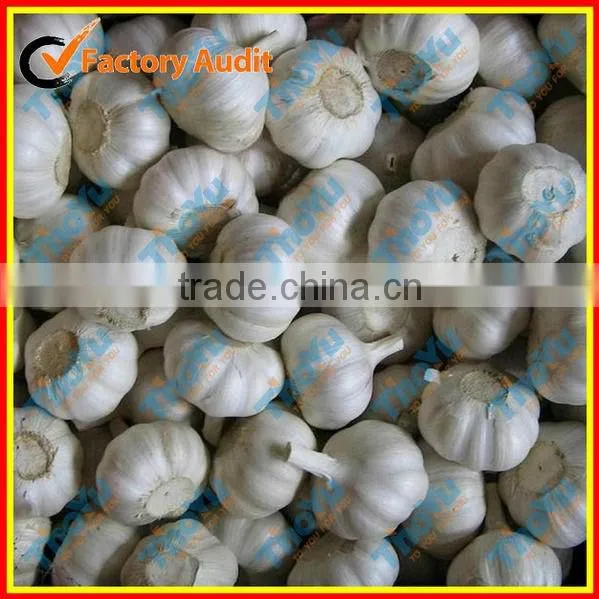 2014 New type Electric fresh garlic root cutting machine/garlic root cutter(SMS:0086-15837162163)