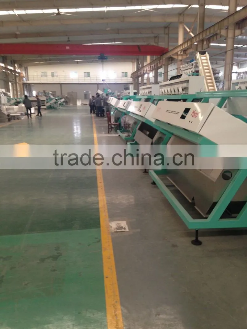 NEW INTERLLIGENT CCD GRAIN SOYBEANS COLOR SORTER