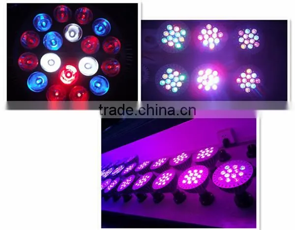 online led lighting shop sell lights used to grow plants that grow from bulbs
