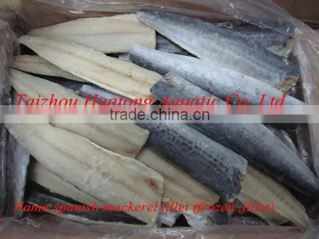 Spanish mackerel fillet